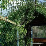 Садовая решетка 1.8*20м (23*23мм), ромб